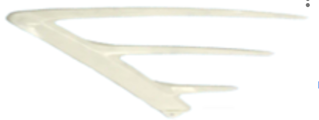 Left Decorative Strip